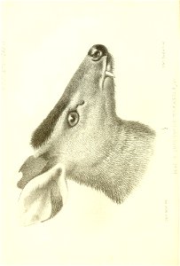 n927_w1150
