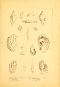 n56_w1150