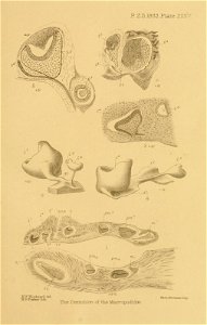 n544_w1150