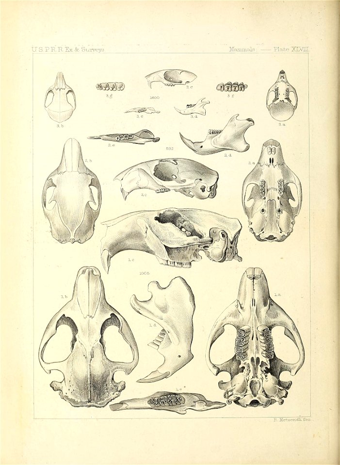 n293_w1150