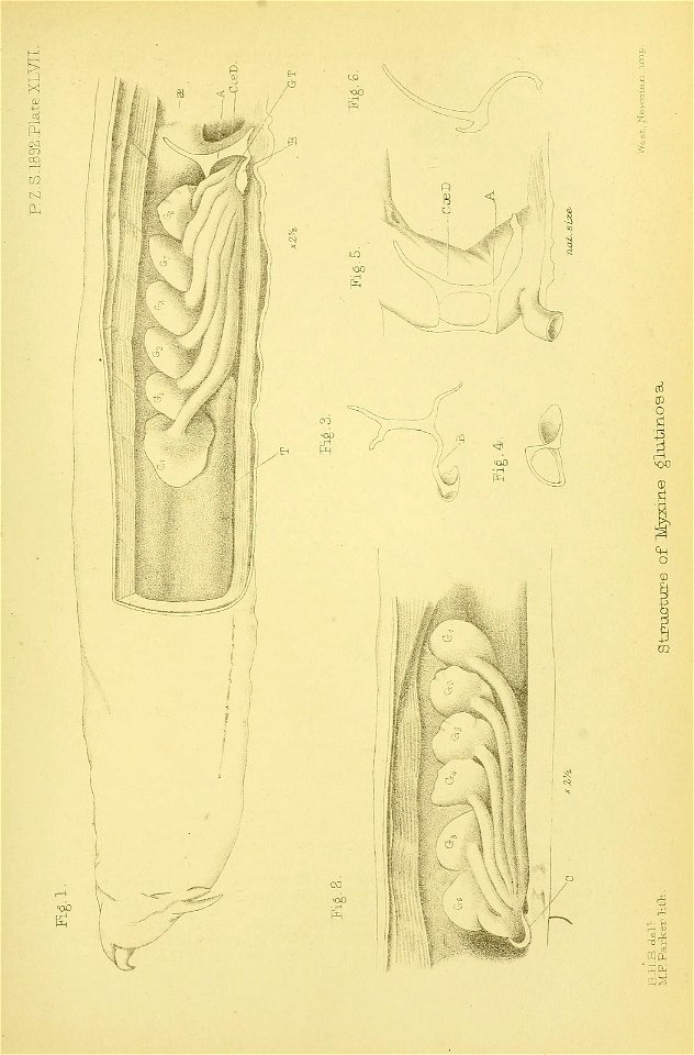 n822_w1150