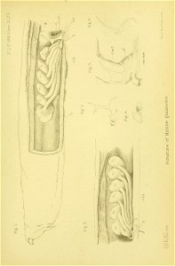 n822_w1150