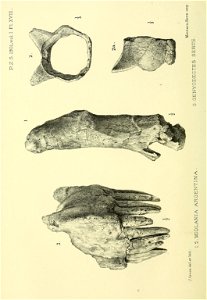 n229_w1150