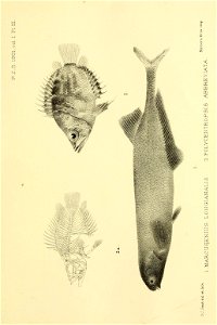 n34_w1150
