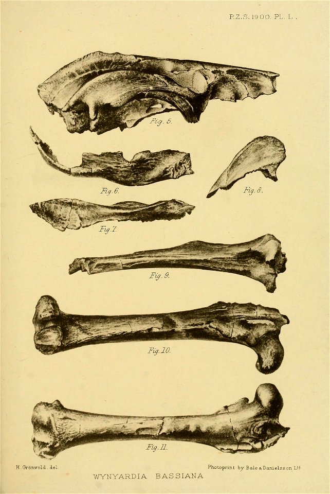 n906_w1150
