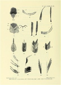 n335_w1150