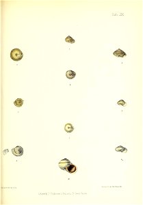 n348_w1150