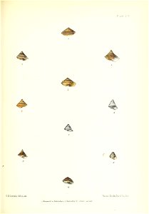 n196_w1150