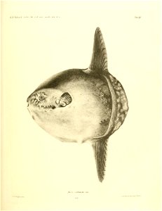 n120_w1150