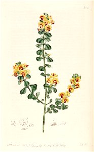 n163_w1150