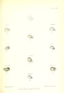 n284_w1150