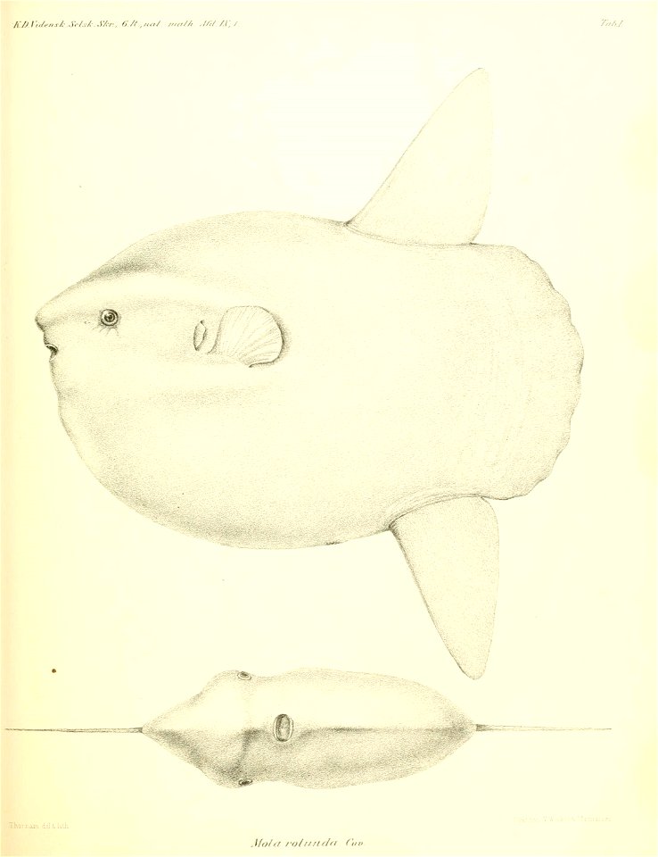 n114_w1150