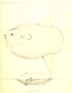 n114_w1150