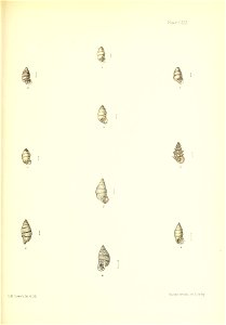 n370_w1150