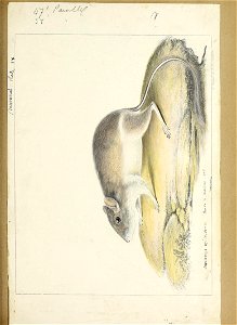 n98_w1150