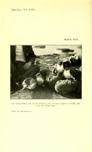 n201_w1150