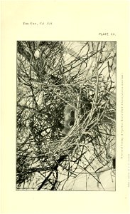 n152_w1150
