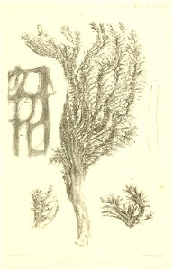 n942_w1150