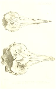 n578_w1150