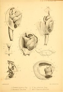 n58_w1150