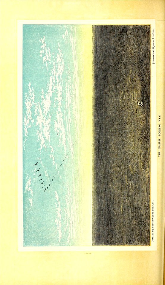 n181_w1150
