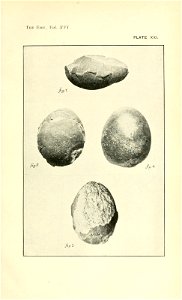 n142_w1150