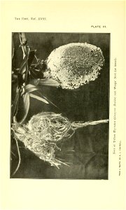 n37_w1150