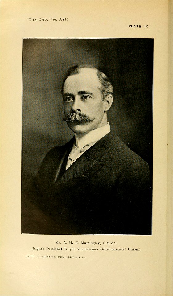 n155_w1150