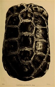 n20_w1150