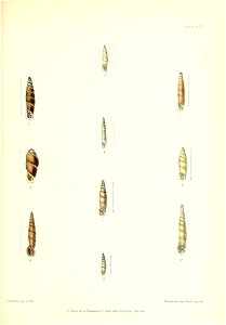 n136_w1150