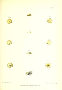 n166_w1150