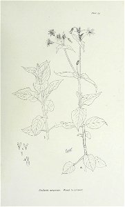 n118_w1150
