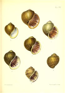 n316_w1150