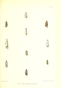 n134_w1150