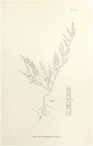 n406_w1150
