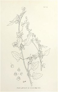 n376_w1150