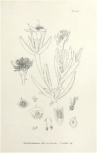 n316_w1150