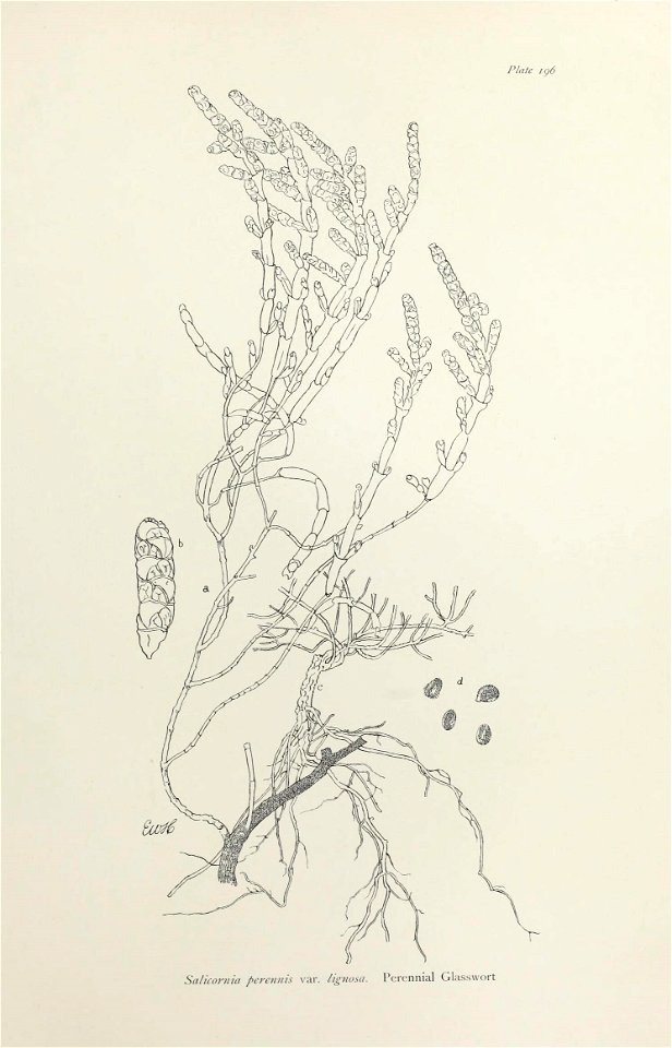 n402_w1150