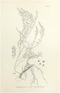 n402_w1150