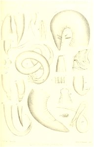 n356_w1150