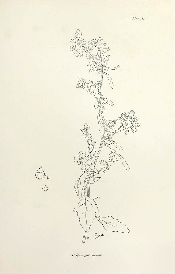 n372_w1150