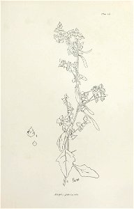 n372_w1150