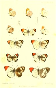 n158_w1150