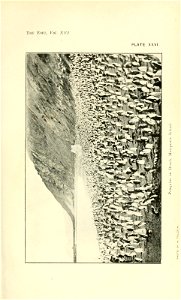 n162_w1150