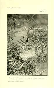 n62_w1150