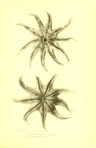 n360_w1150