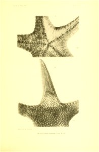 n420_w1150