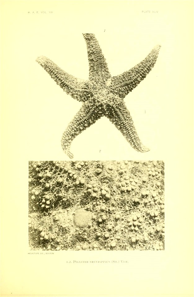 n180_w1150