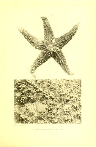 n180_w1150