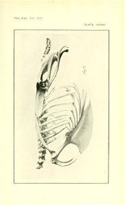 n324_w1150